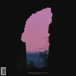 1000 Micrograms of Love